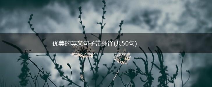 优美的英文句子带翻译(共50句),第1张
