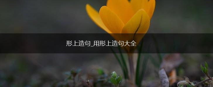 形上造句_用形上造句大全,第1张