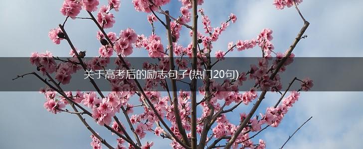 关于高考后的励志句子(热门20句),第1张