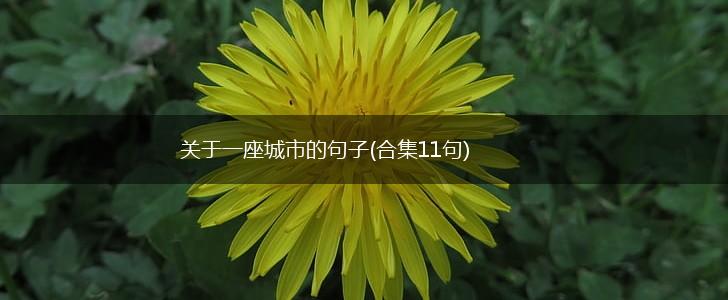 关于一座城市的句子(合集11句),第1张