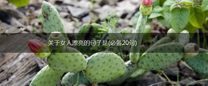 关于女人漂亮的句子是(必备20句),第1张