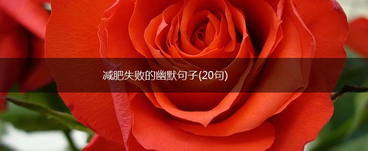 减肥失败的幽默句子(20句),第1张