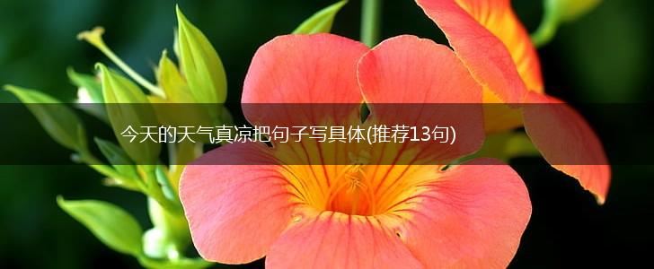 今天的天气真凉把句子写具体(推荐13句),第1张