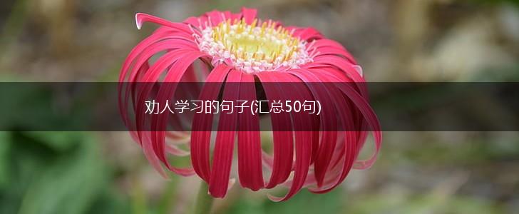 劝人学习的句子(汇总50句),第1张