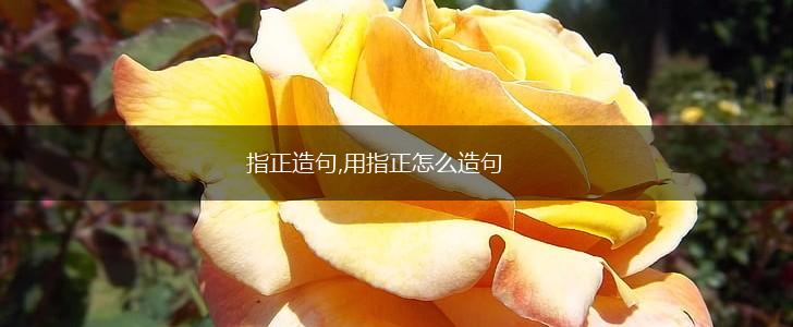 指正造句,用指正怎么造句,第1张
