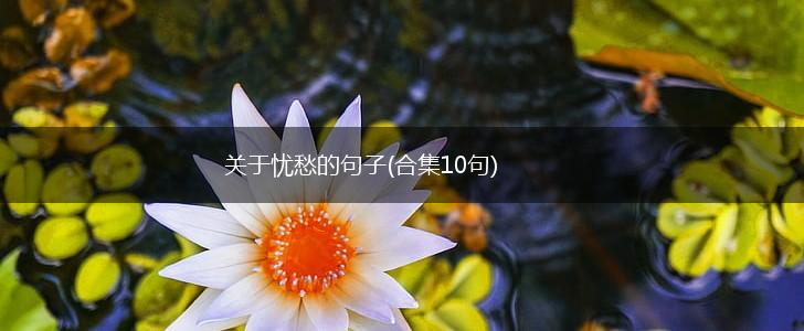 关于忧愁的句子(合集10句),第1张