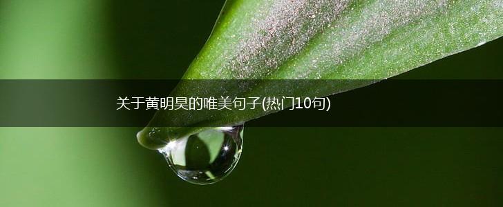关于黄明昊的唯美句子(热门10句),第1张