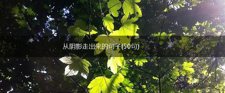 从阴影走出来的句子(50句),第1张