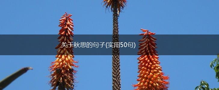关于秋思的句子(实用50句),第1张