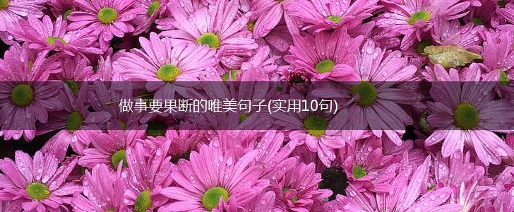 做事要果断的唯美句子(实用10句),第1张