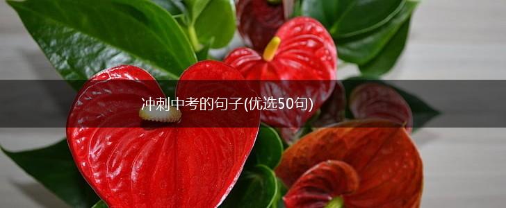 冲刺中考的句子(优选50句),第1张