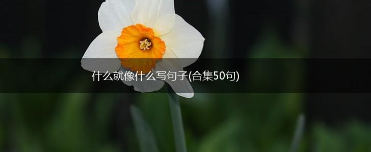 什么就像什么写句子(合集50句),第1张