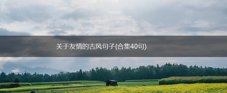 关于友情的古风句子(合集40句),第1张
