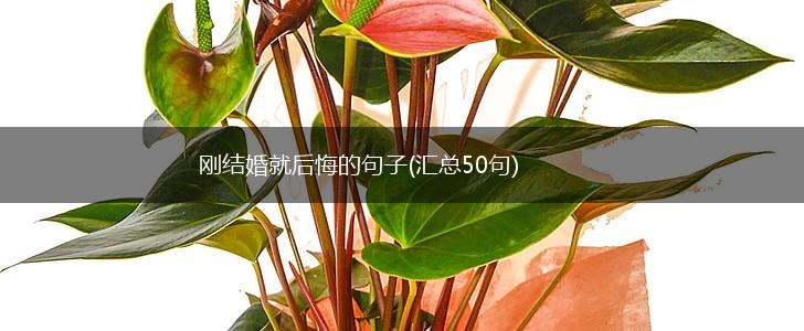 刚结婚就后悔的句子(汇总50句),第1张