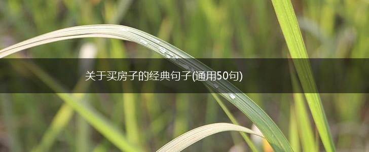 关于买房子的经典句子(通用50句),第1张