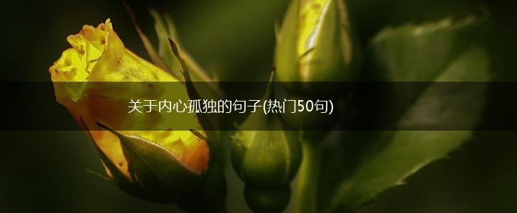 关于内心孤独的句子(热门50句),第1张