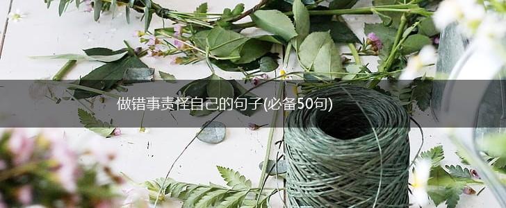 做错事责怪自己的句子(必备50句),第1张