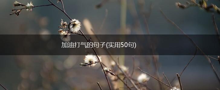 加油打气的句子(实用50句),第1张