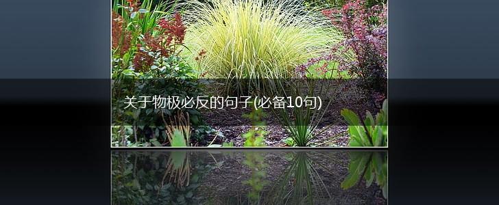 关于物极必反的句子(必备10句),第1张