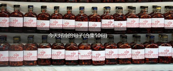 今天好冷的句子(合集50句),第1张