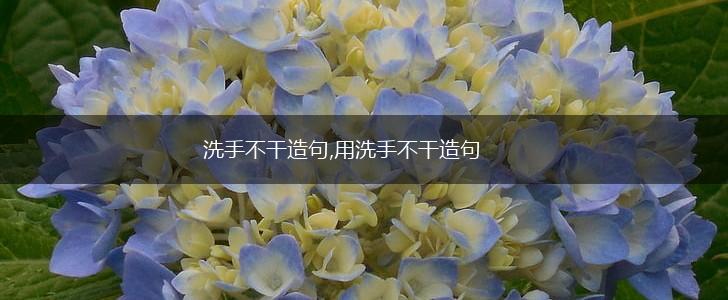 洗手不干造句,用洗手不干造句,第1张