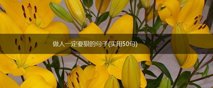 做人一定要狠的句子(实用50句),第1张