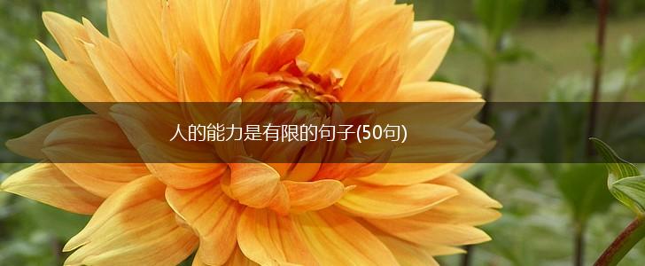 人的能力是有限的句子(50句),第1张