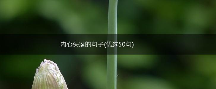 内心失落的句子(优选50句),第1张