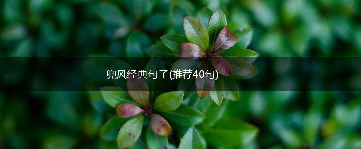 兜风经典句子(推荐40句),第1张