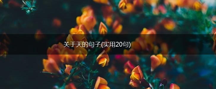 关于天的句子(实用20句),第1张