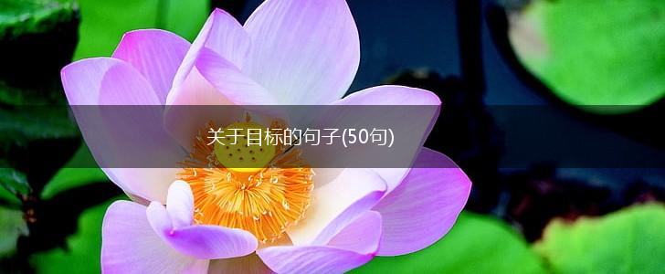 关于目标的句子(50句),第1张