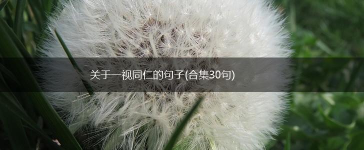 关于一视同仁的句子(合集30句),第1张