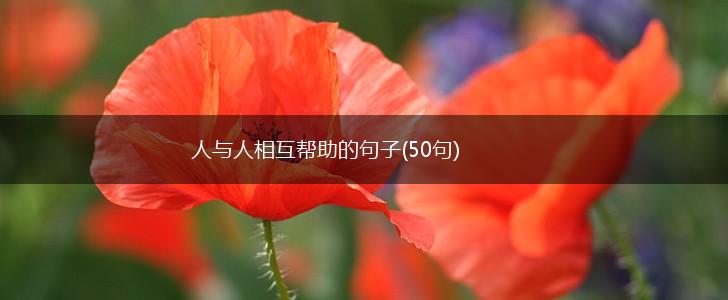 人与人相互帮助的句子(50句),第1张