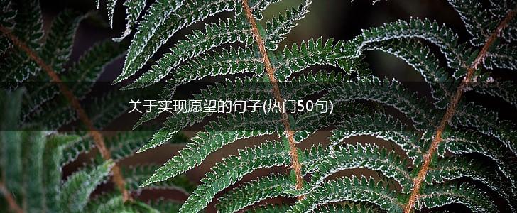 关于实现愿望的句子(热门50句),第1张