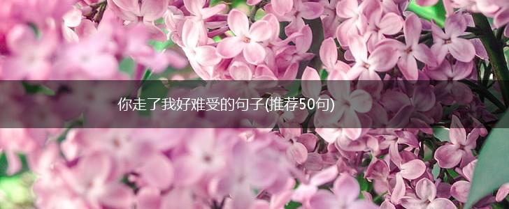 你走了我好难受的句子(推荐50句),第1张