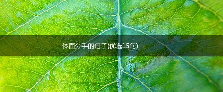 体面分手的句子(优选15句),第1张