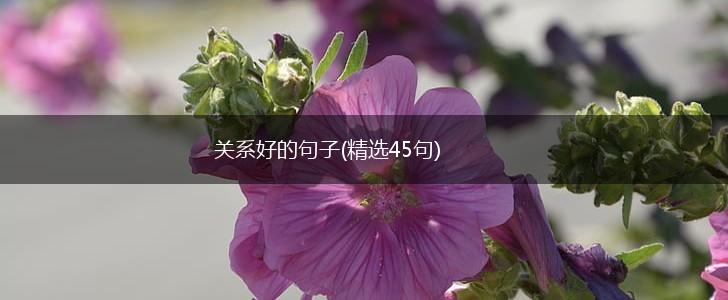 关系好的句子(精选45句),第1张