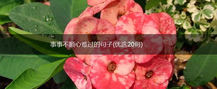 事事不顺心难过的句子(优选20句),第1张