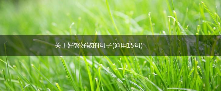 关于好聚好散的句子(通用15句),第1张