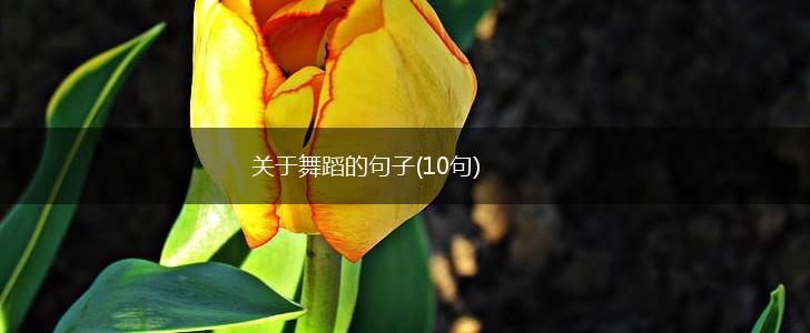 关于舞蹈的句子(10句),第1张