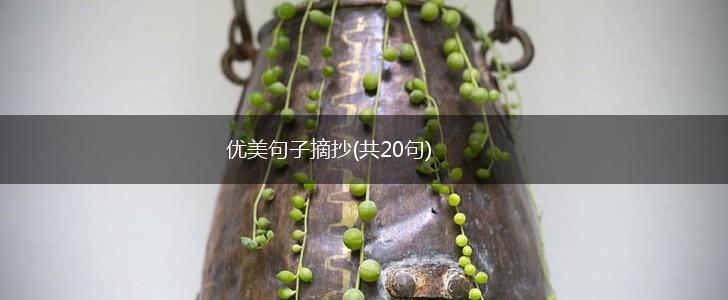 优美句子摘抄(共20句),第1张