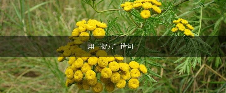 用“捉刀”造句,第1张