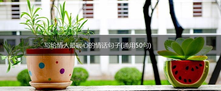 写给情人最暖心的情话句子(通用50句),第1张