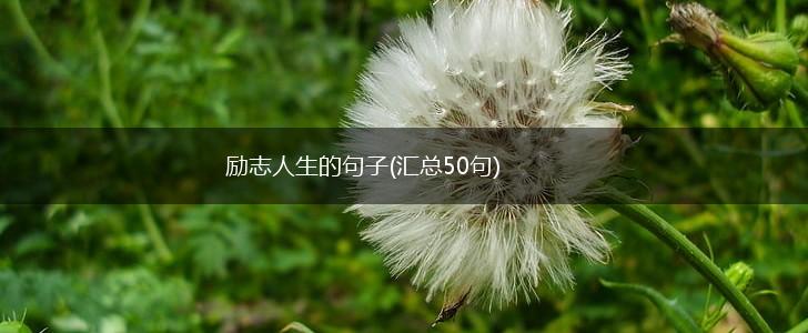 励志人生的句子(汇总50句),第1张