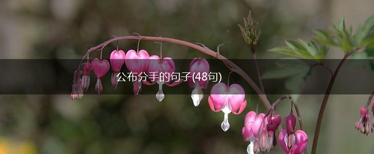 公布分手的句子(48句),第1张