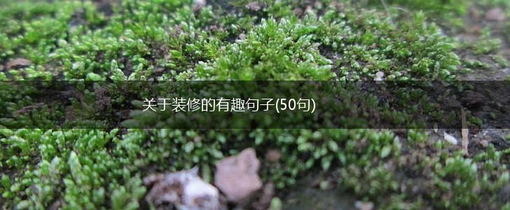 关于装修的有趣句子(50句),第1张