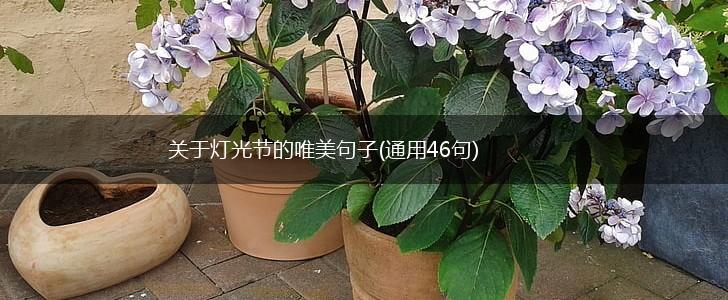 关于灯光节的唯美句子(通用46句),第1张
