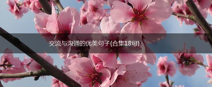 交流与沟通的优美句子(合集18句),第1张