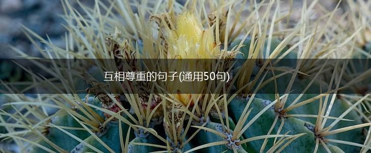 互相尊重的句子(通用50句),第1张