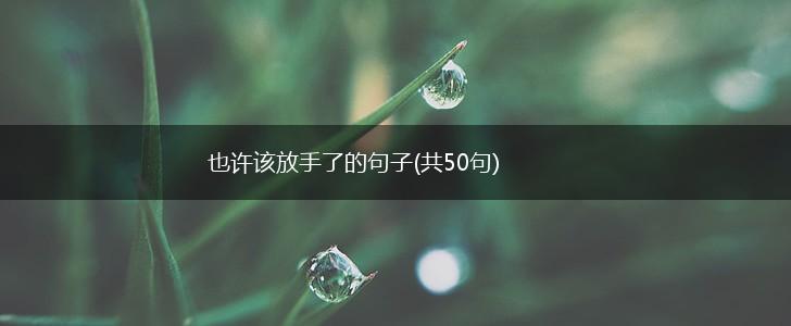 也许该放手了的句子(共50句),第1张